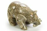 Realistic, Polished Fossil Shell Hash Bear w/ Fish - Philippines #308452-1